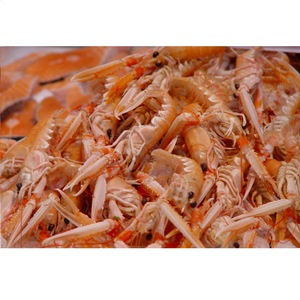 Langoustine schalen